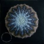 Sea Urchin